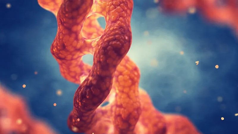 5-Amino-1MQ Peptide Injection Promoting Collagen Synthesis | Shaanxi BLOOM Tech Co., Ltd 5-Amino-1MQ Peptide Injection Promoting Collagen Synthesis | Shaanxi BLOOM Tech Co., Ltd
