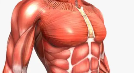 SLU-PP-332 For sale | Shaanxi BLOOM Tech Co., Ltd SLU-PP-332 For sale | Shaanxi BLOOM Tech Co., Ltd