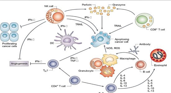 SLU-PP-332 Online | Shaanxi BLOOM Tech Co., Ltd SLU-PP-332 Online | Shaanxi BLOOM Tech Co., Ltd